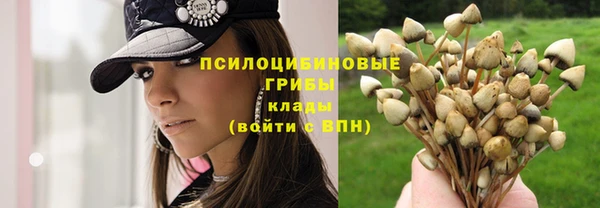 альфа пвп Елизово