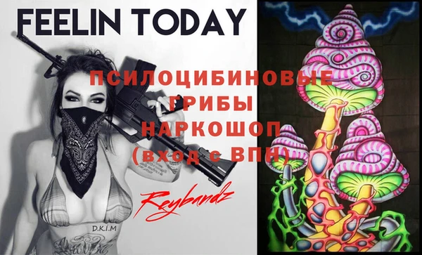 а пвп мука Елабуга