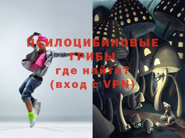 а пвп мука Елабуга