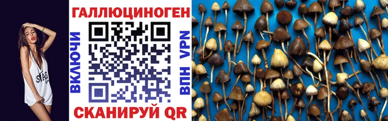 Купить где  Свободный  Псилоцибиновые грибы MAGIC MUSHROOMS 
