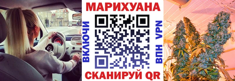 Купить где  Свободный  Каннабис OG Kush 